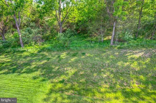 135 Wake Robin Ct, Townhouse with 3 bedrooms, 4 bathrooms and null parking in LAKE FREDERICK VA | Image 59