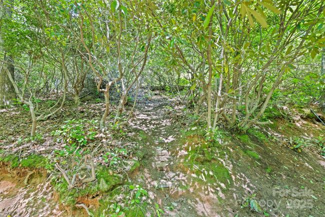 823 Turtle Creek Rd, House other with 3 bedrooms, 2 bathrooms and null parking in Sylva NC | Image 31