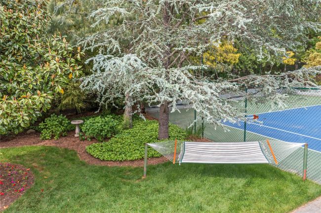 View of yard | Image 32