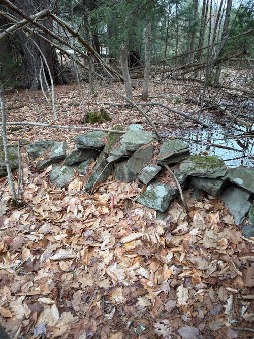 702 Province Rd, Belmont, NH, 03220-3726 | Card Image