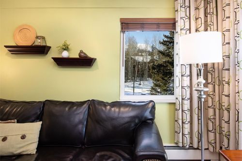 103-101 Ryan Gulch Rd, Silverthorne, CO, 80498-5454 | Card Image