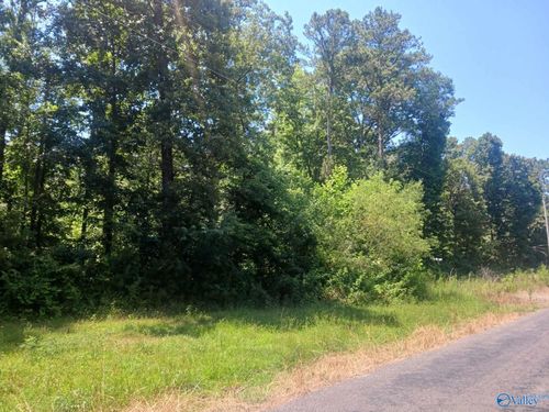 1.15 County Road 126, Pisgah, AL, 35765 | Card Image
