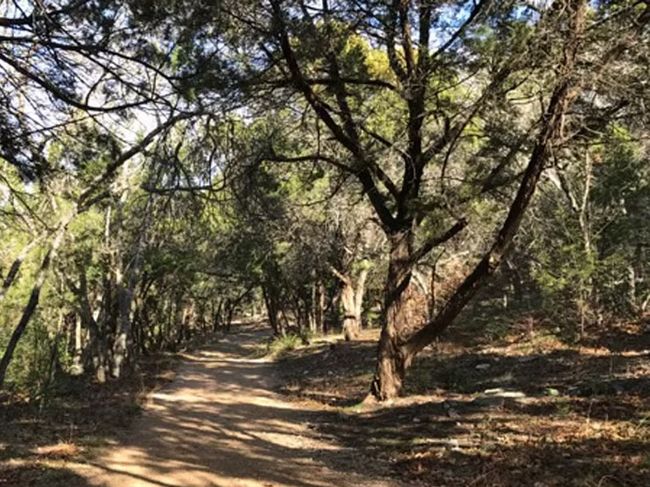 Photo courtesy of DRMA - one-mile nature trail that winds through dense woodlands and across creeks | Image 34