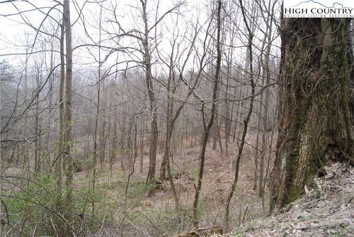Lot 57 Toms Knob Rd, Sparta, NC, 28675 | Card Image
