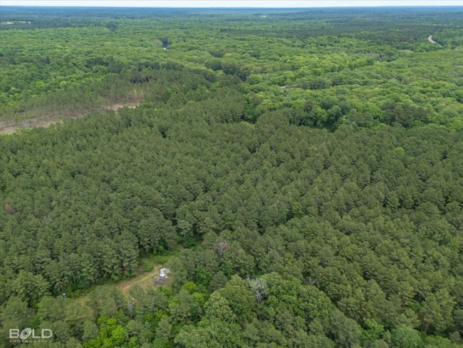 0 Highway 157, Home with 0 bedrooms, 0 bathrooms and null parking in Benton LA | Image 6