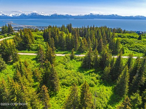 210 Tulin Terrace Blvd, Homer, AK, 99603-9378 | Card Image