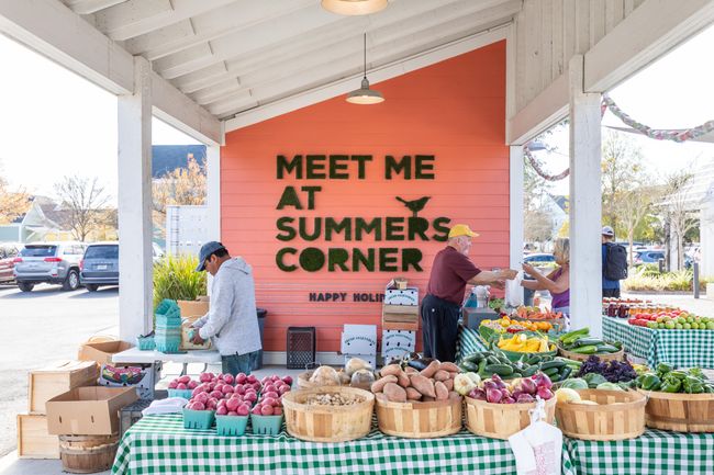 SC FARMERS MARKET | Image 38