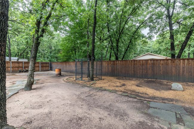 View of yard | Image 7