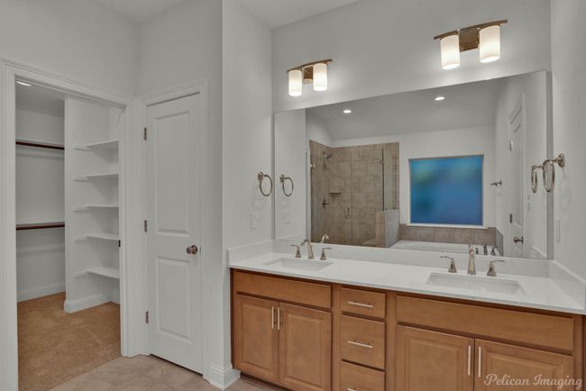 Primary Bathroom & Walk-In Closet | Image 17