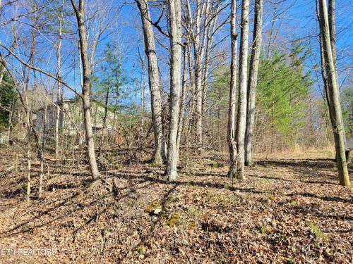 69 Alpine Dr, Sevierville, TN, 37876 | Card Image