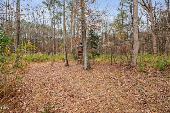 17-web-or-mls-624-great-pine-way | Image 64