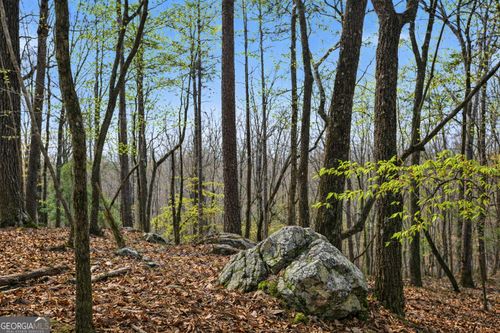 lot-2-2335 Stonepile Rd, Clarkesville, GA, 30523-7502 | Card Image