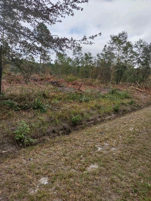 000 Rehoboth Rd, Cottageville, SC, 29435 | Card Image