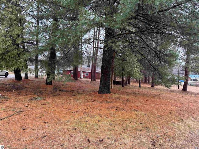 3105 N 3 1/4 Rd, Home with 0 bedrooms, 0 bathrooms and null parking in Mesick MI | Image 7