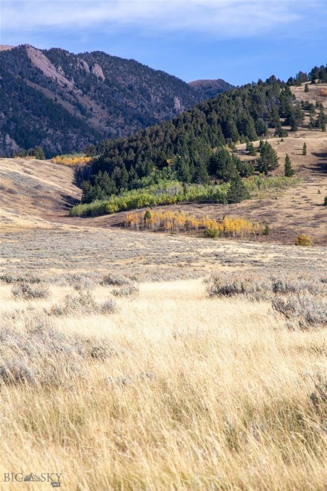 77 Gvt Lot 6 Final Legal Tbd, Home with 0 bedrooms, 0 bathrooms and null parking in Cameron MT | Image 23