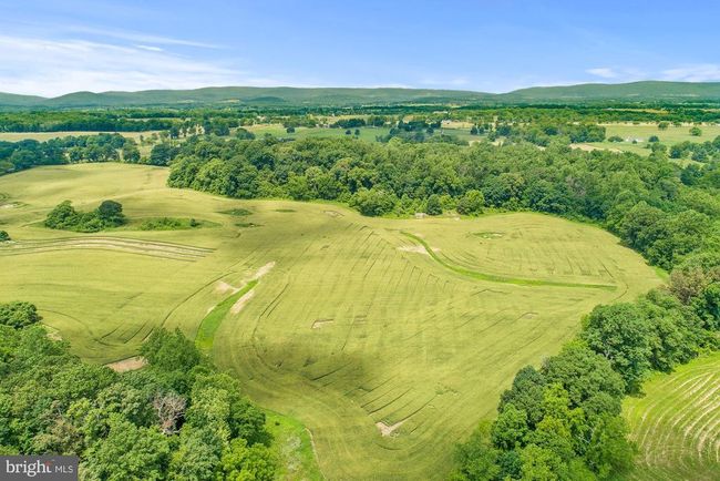 8160 Frogtown Rd, Home with 0 bedrooms, 0 bathrooms and null parking in MARSHALL VA | Image 24
