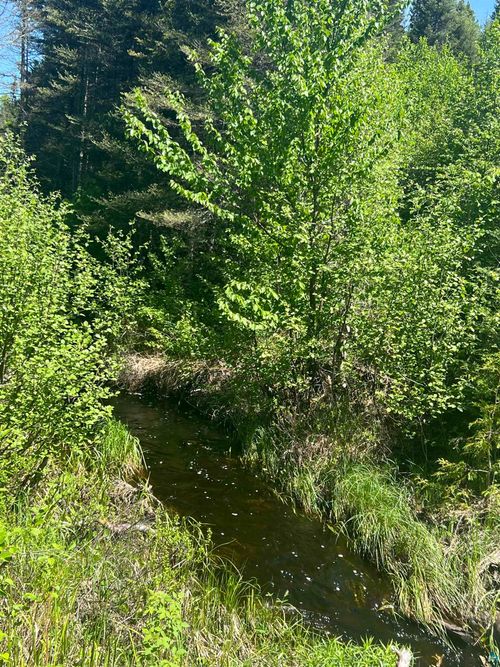 XXX5 Hefflefinger Rd, Silver Bay, MN, 55614 | Card Image