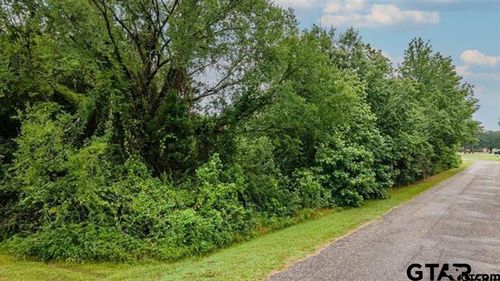 Lot 43 Lakeside Est, Frankston, TX, 75763-7612 | Card Image