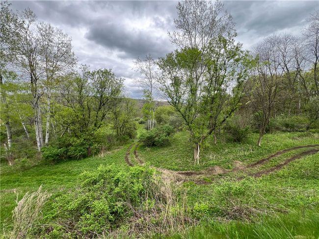Another View from W Danby Road | Image 14