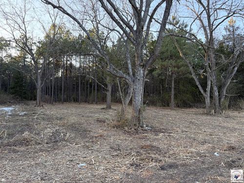 00 Fm 250, Hughes Springs, TX, 75656 | Card Image