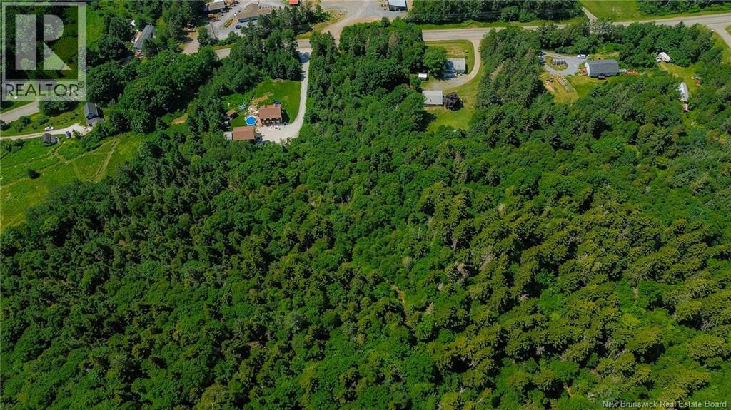Land in Kingston