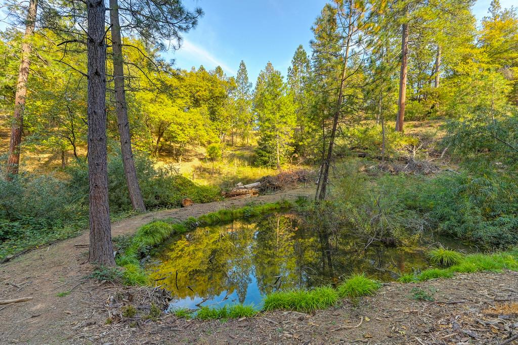 Land in Colfax 4