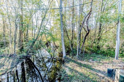 Creek view - left edge of property. | Image 2