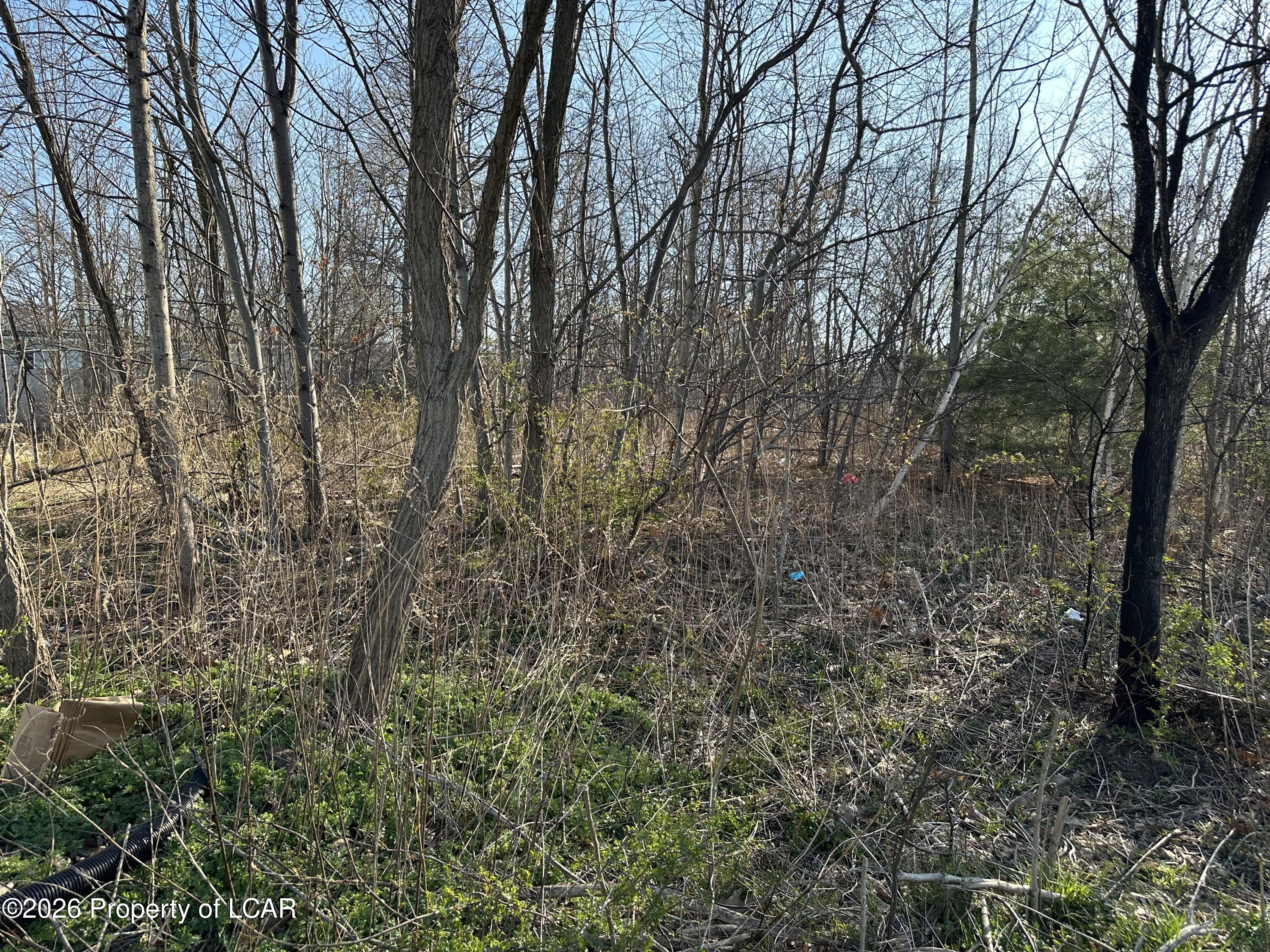 Land in Moosic
