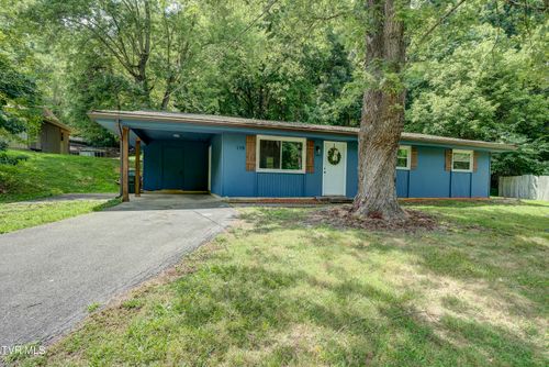 119 Cleveland Rd, Gray, TN, 37615-2603 | Card Image