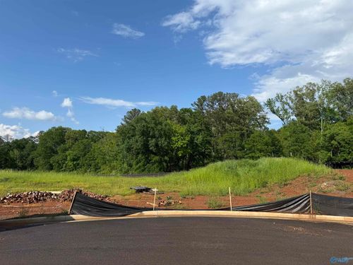 Lot 8 Tumbleweed Dr, Guntersville, AL, 35976-0560 | Card Image