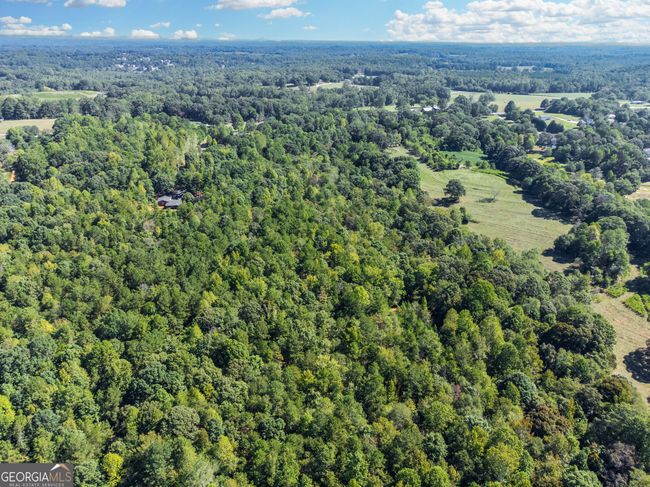 3669 Old State Rd, Home with 0 bedrooms, 0 bathrooms and null parking in Talmo GA | Image 7