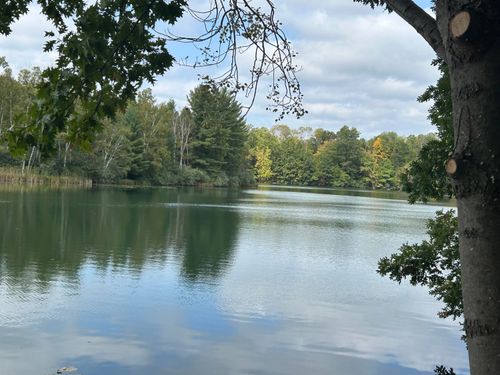 41-8601 N Island Dr, Canadian Lakes, MI, 49346-8398 | Card Image