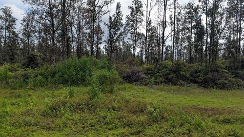 16-730 Aulii St, KEAAU, HI, 96749 | Card Image