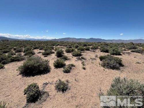 365 Ludwig Ln, Smith, NV, 89430 | Card Image