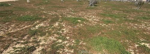 0 0, Victorville, CA, 00000 | Card Image