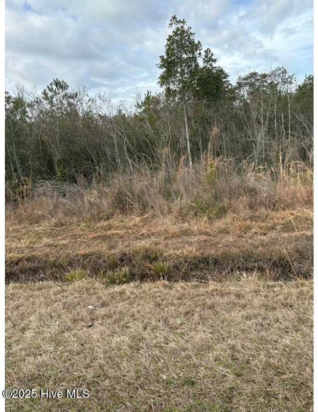 476 Dothan Road, Home with 0 bedrooms, 0 bathrooms and null parking in Tabor City NC | Image 7