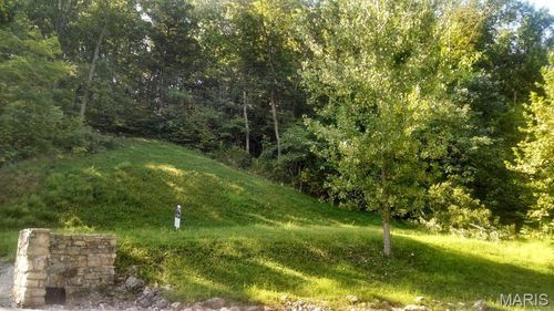 329 Berg Crossing Dr, Augusta, MO, 63332-1580 | Card Image