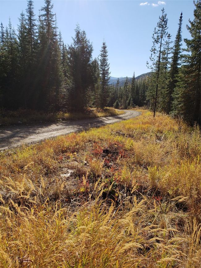 114 Packer Creek Rd, Home with 0 bedrooms, 0 bathrooms and null parking in Haugan MT | Image 8