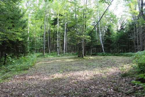 5925 Sabael Rd, Indian Lake, NY, 12842 | Card Image
