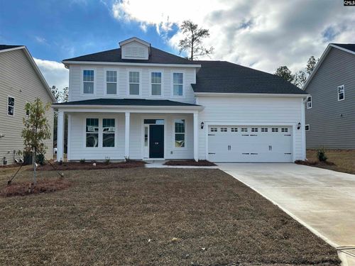 318 Rising Stream Way, Chapin, SC, 29036 | Card Image