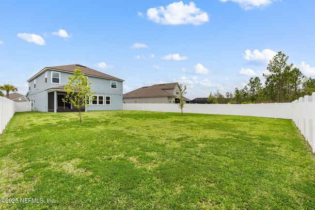 Backyard left | Image 38