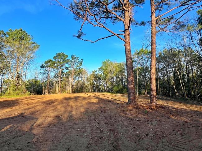 99 Cr 2107, Home with 0 bedrooms, 0 bathrooms and null parking in Rusk TX | Image 31