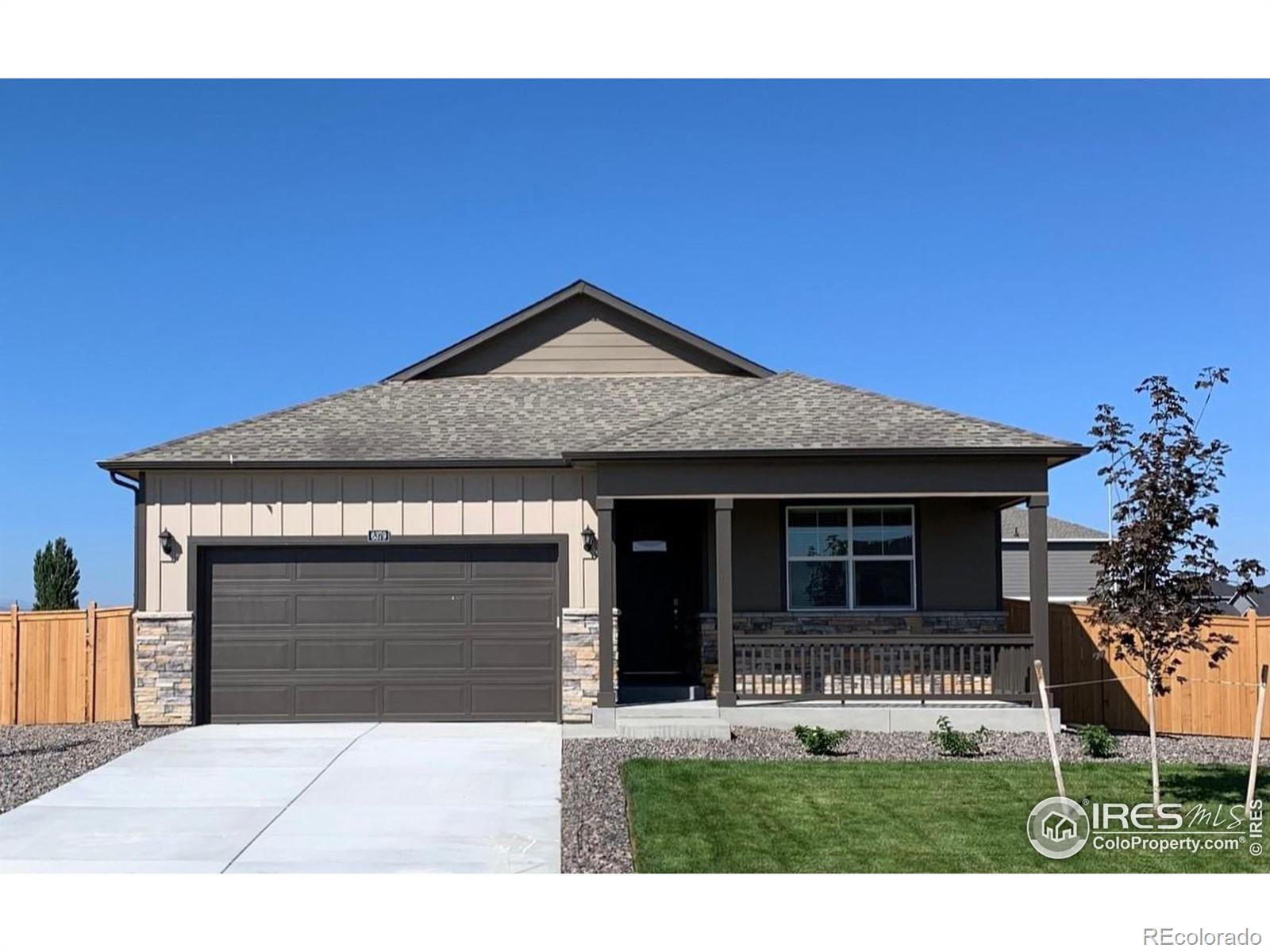Coralbell St, Wellington, CO 80549