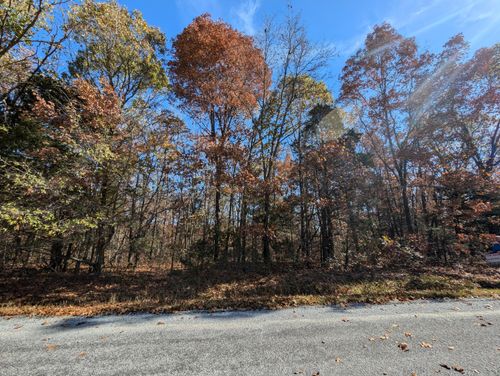 000 Ridgeview Pt, Cape Fair, MO, 65624 | Card Image