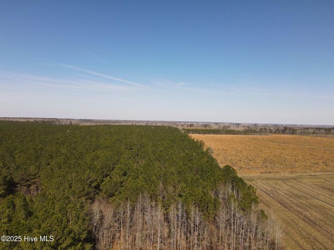 0 Free Union Church Rd, Home with 0 bedrooms, 0 bathrooms and null parking in Pinetown NC | Image 8
