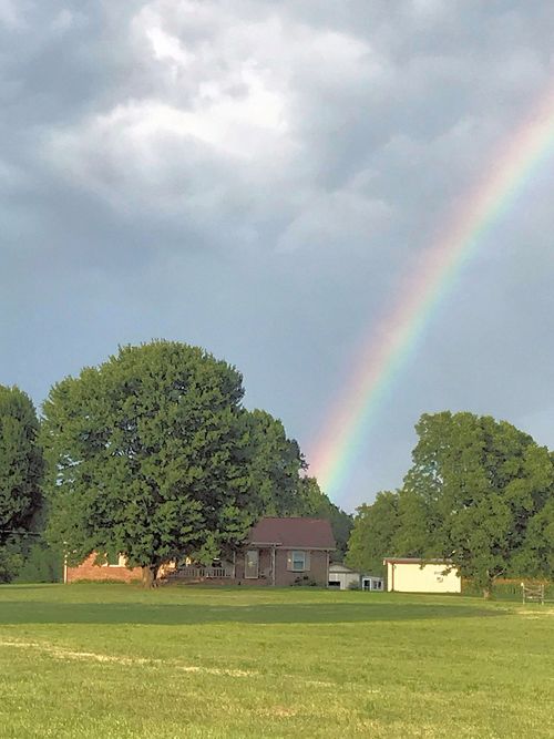 1931 Hwy 82s S, Shelbyville, TN, 37160 | Card Image