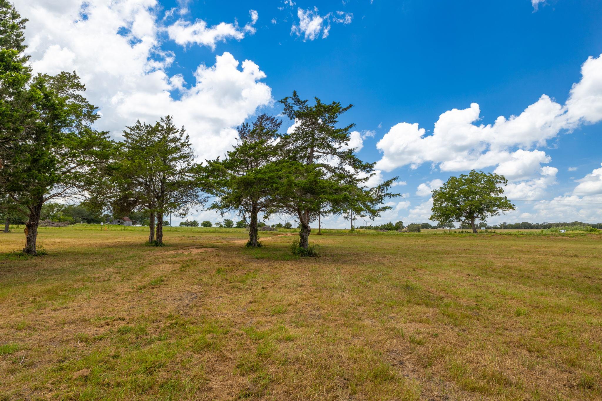 Land in Flatonia 4