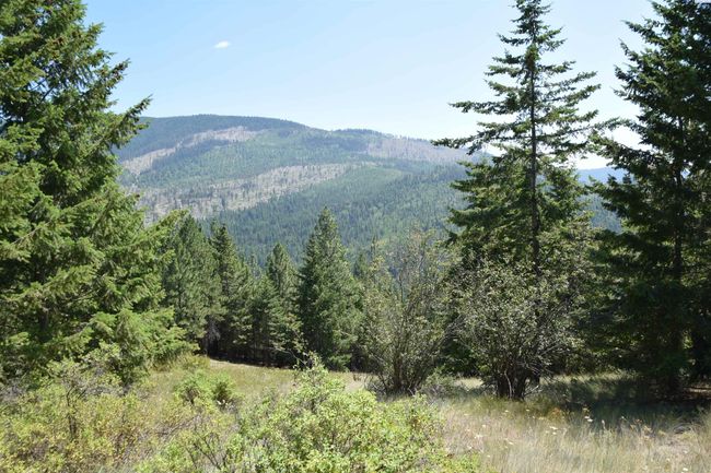 1555 Comstock Mine Rd, Home with 0 bedrooms, 0 bathrooms and null parking in Colville WA | Image 9