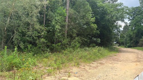 LOT 1 Millcreek Drive, Ivanhoe, TX, 75979 | Card Image
