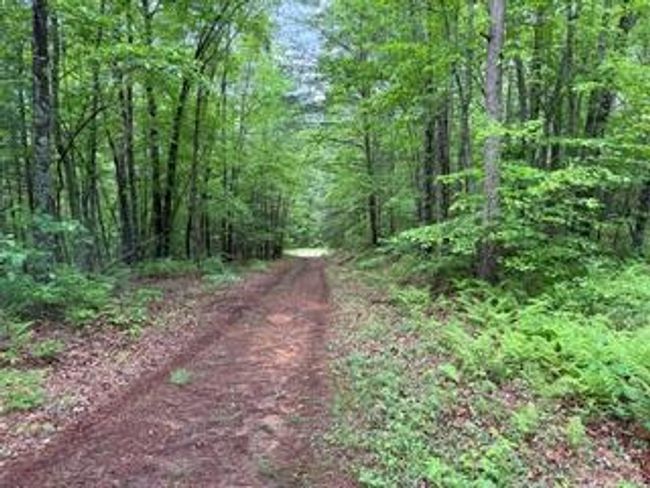 00 Woodsong Haven Ln, Home with 0 bedrooms, 0 bathrooms and null parking in Turtletown TN | Image 4